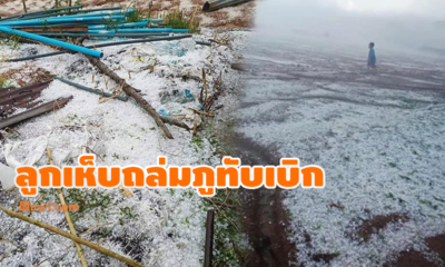 พายุลูกเห็บถล่มภูทับเบิกขาวโพลนเต็มยอดภู