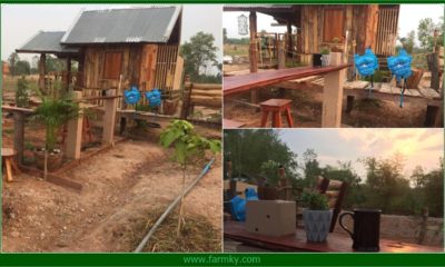 ไอเดียการทำบ้านไม้กลางทุ่ง ให้เข้ากับบรรยากาศ เหมาะสมแก่การพักผ่อน