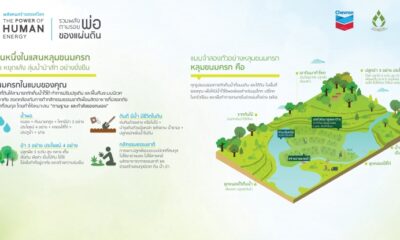 โคกหนองนา หลุมขนมครกในแบบของคุณ