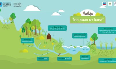 โคก หนอง นา โมเดล หลุมขนมครกแบบพื้นที่ลุ่ม