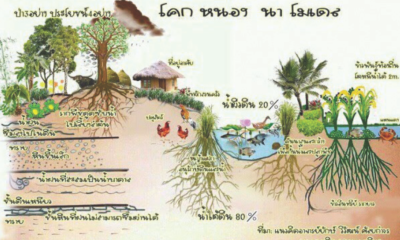 โคก หนอง นา โมเดล โดยสถาบันเศรษฐกิจพอเพียง