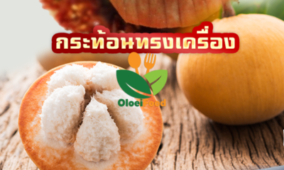 กระท้อนทรงเครื่อง
